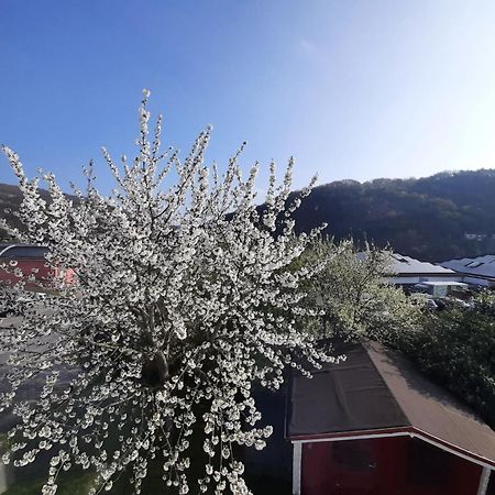 Ferienhaus-Eifelzeit Heimbach Exterior foto